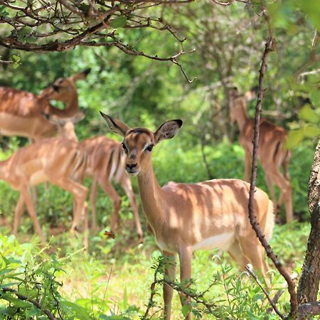 Ferienwohnung Kruger Kumba - Lahlekile Nathi Marloth Park Exterior foto