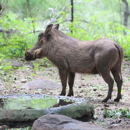 Ferienwohnung Kruger Kumba - Lahlekile Nathi Marloth Park Exterior foto