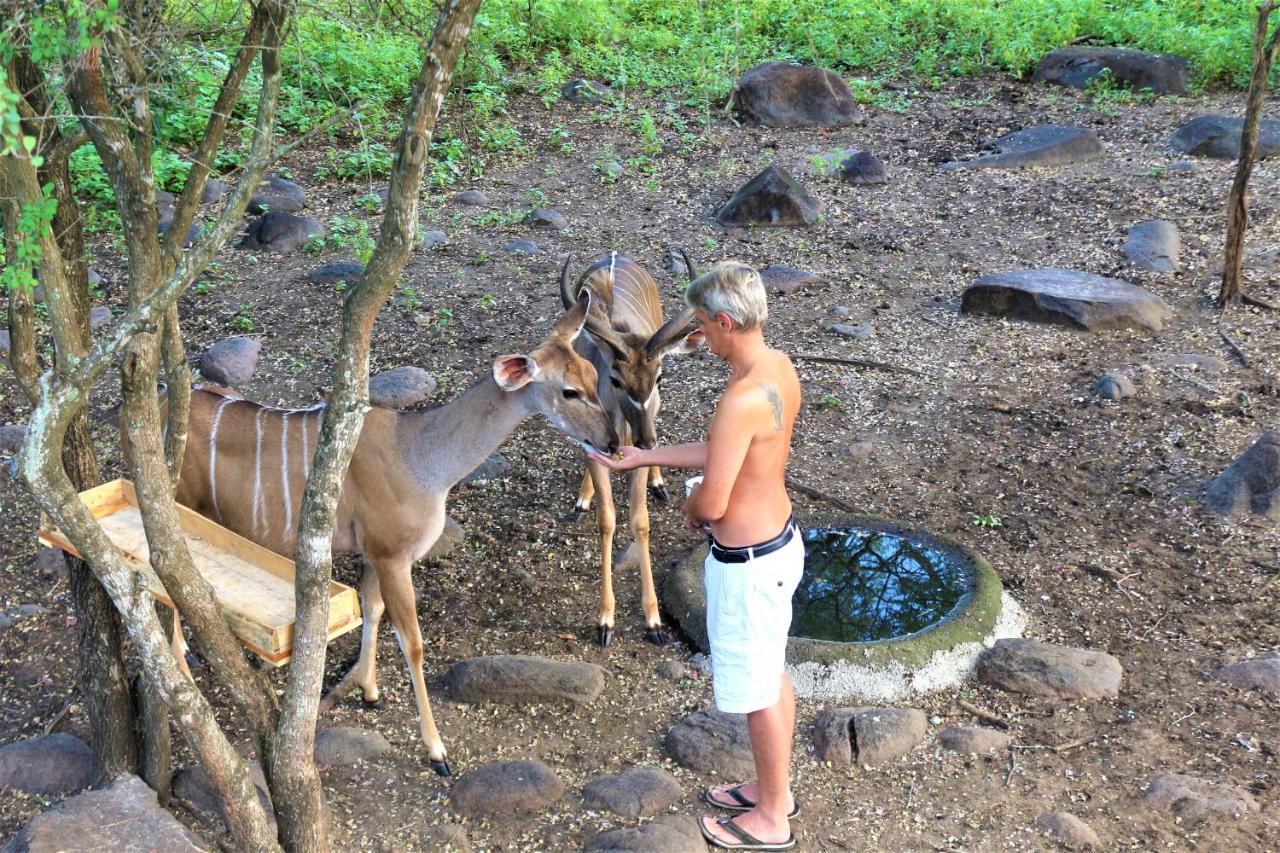 Ferienwohnung Kruger Kumba - Lahlekile Nathi Marloth Park Exterior foto