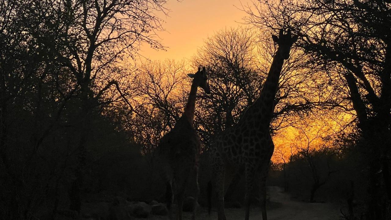 Ferienwohnung Kruger Kumba - Lahlekile Nathi Marloth Park Exterior foto