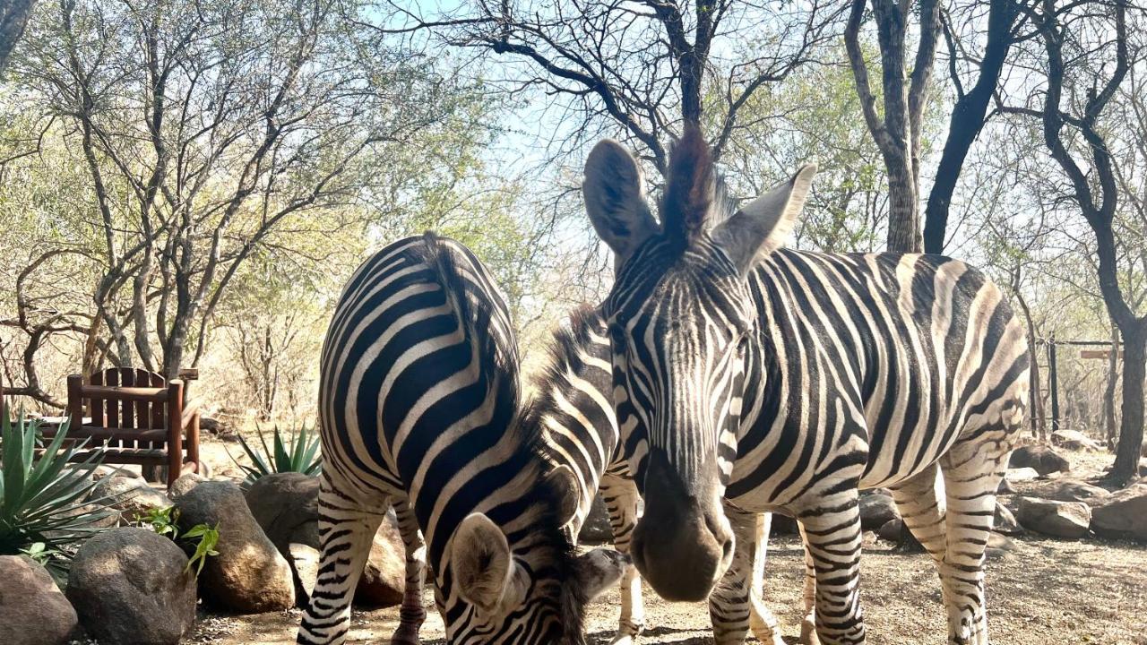 Ferienwohnung Kruger Kumba - Lahlekile Nathi Marloth Park Exterior foto