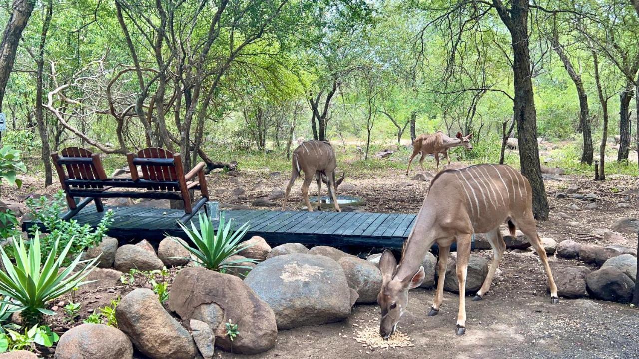 Ferienwohnung Kruger Kumba - Lahlekile Nathi Marloth Park Exterior foto