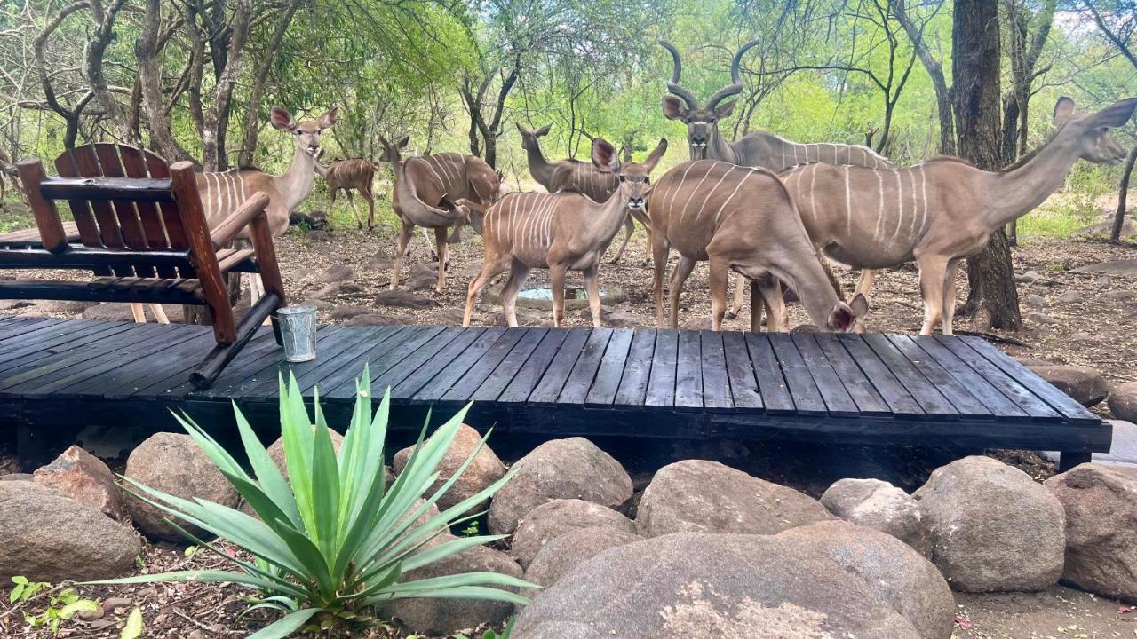 Ferienwohnung Kruger Kumba - Lahlekile Nathi Marloth Park Exterior foto