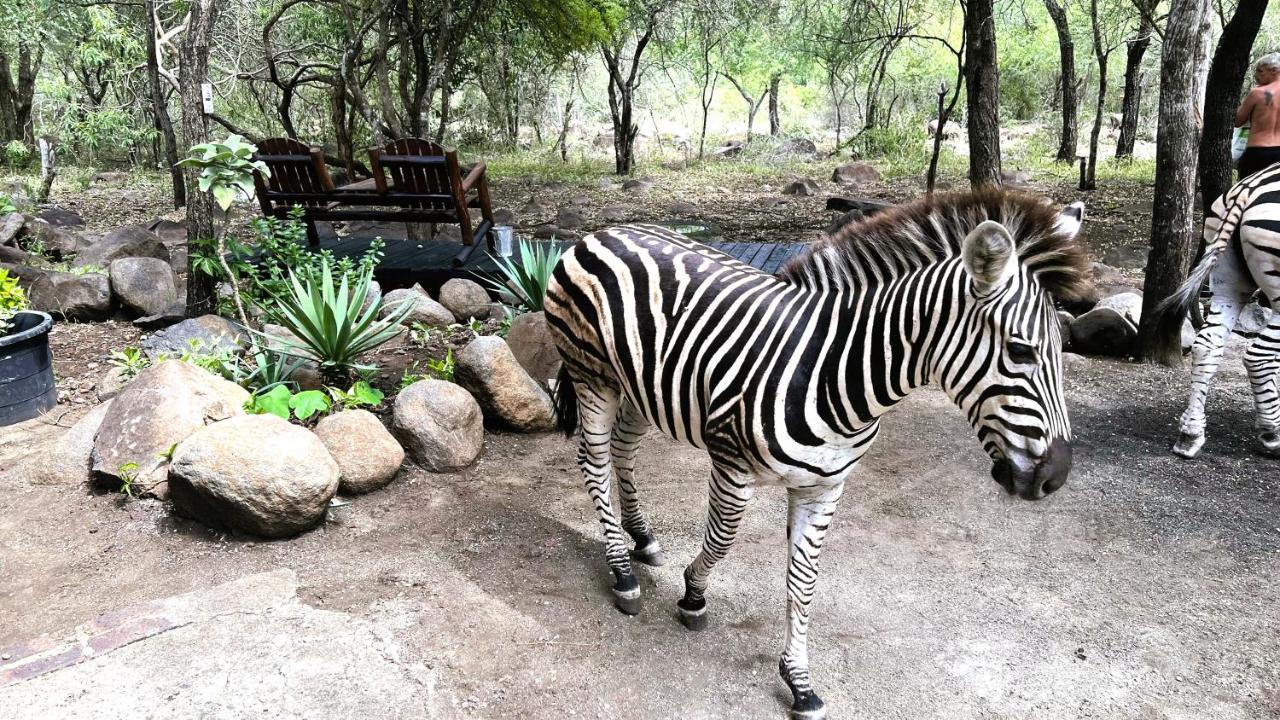Ferienwohnung Kruger Kumba - Lahlekile Nathi Marloth Park Exterior foto