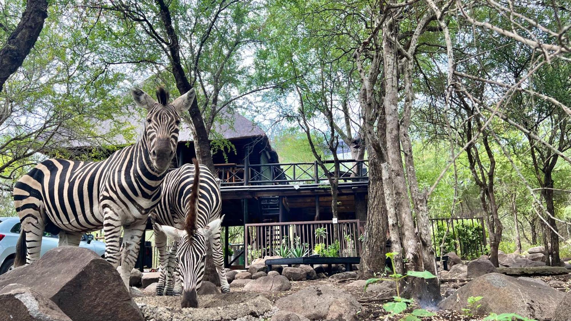 Ferienwohnung Kruger Kumba - Lahlekile Nathi Marloth Park Exterior foto